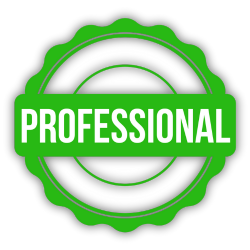 Professional-Luat-Hoang-Quan (250 x 250 px)