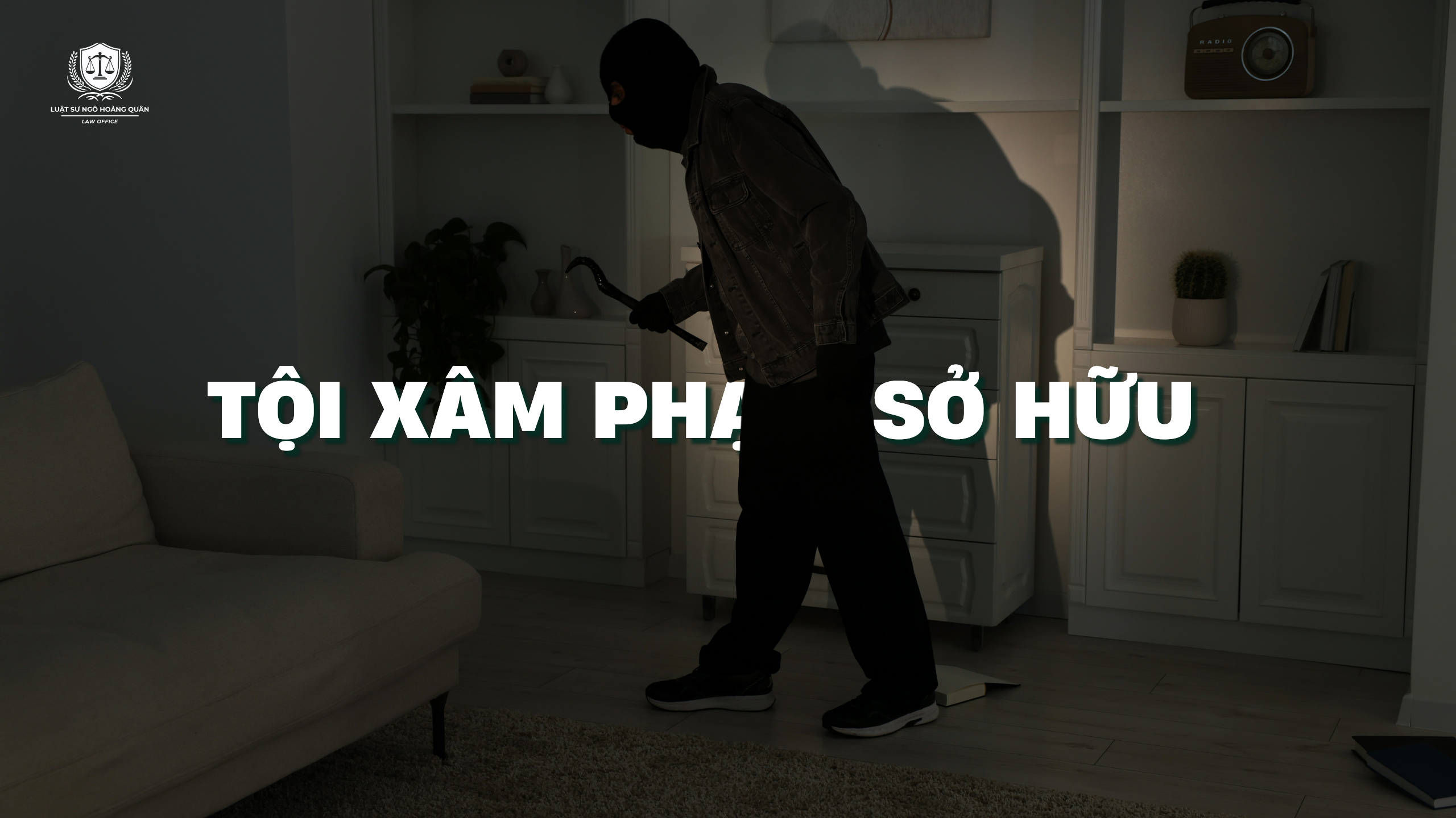 toi-pham-so-huu
